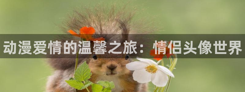 omofun网页版在线观看：动漫爱情的温馨之旅：情侣头像世界配图