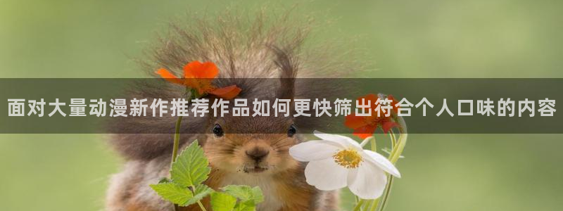 omofun国漫排行榜:面对大量动漫新作推荐作品如何更快筛出符合个人口味的内容配图