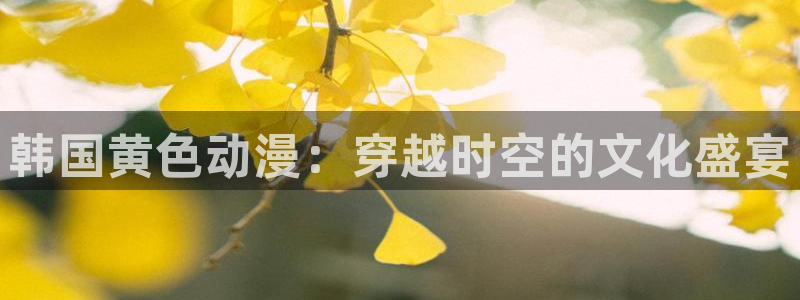omofun新番推荐:韩国黄色动漫:穿越时空的文化盛宴配图