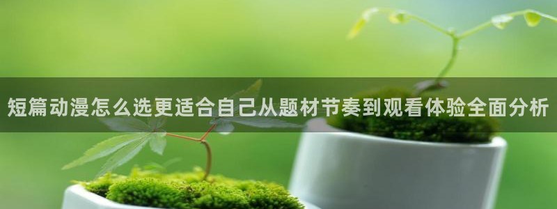 omofun日本动漫大全:短篇动漫怎么选更适合自己从题材节奏到观看体验全面分析配图