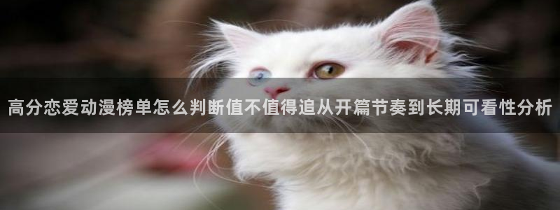 omofun连载排行榜：高分恋爱动漫榜单怎么判断值不值得追从开篇节奏到长期可看性分析配图
