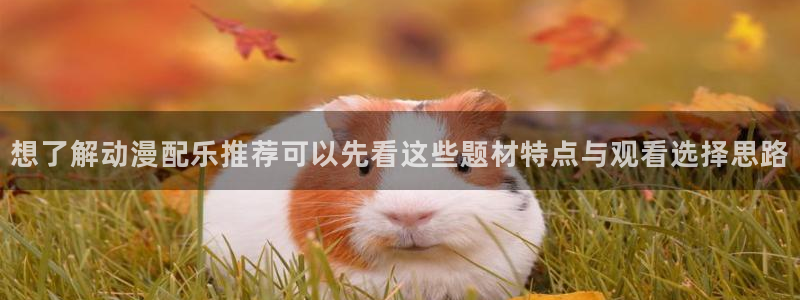 omofun手机动漫免费观看:想了解动漫配乐推荐可以先看这些题材特点与观看选择思路配图
