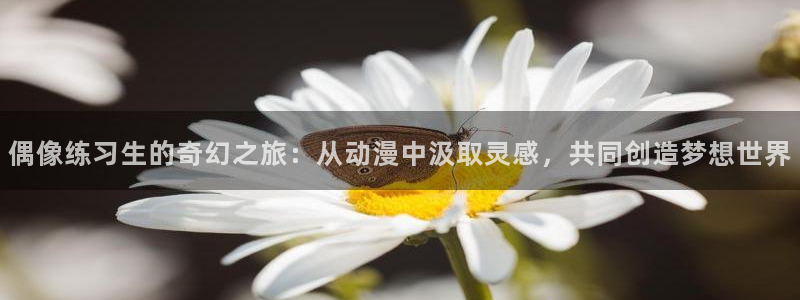 omofun全集免费观看:偶像练习生的奇幻之旅:从动漫中汲取灵感,共同创造梦想世界配图