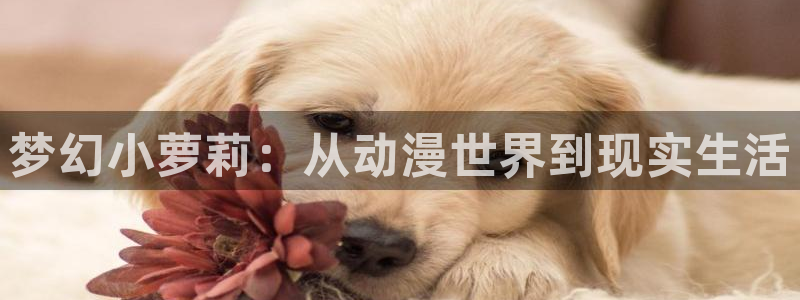 omofun动漫大全:梦幻小萝莉:从动漫世界到现实生活配图