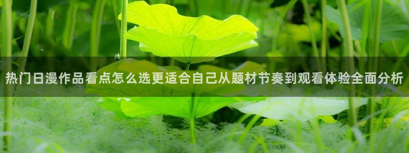 omofun连载排行榜:热门日漫作品看点怎么选更适合自己从题材节奏到观看体验全面分析配图