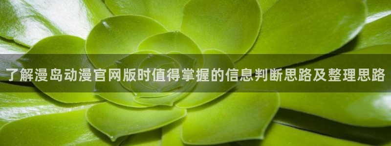 2026omofun动漫推荐:了解漫岛动漫官网版时值得掌握的信息判断思路及整理思路配图