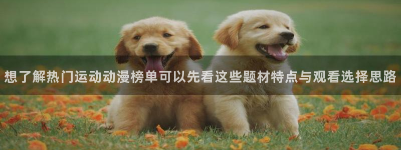 omofun新番大全：想了解热门运动动漫榜单可以先看这些题材特点与观看选择思路配图