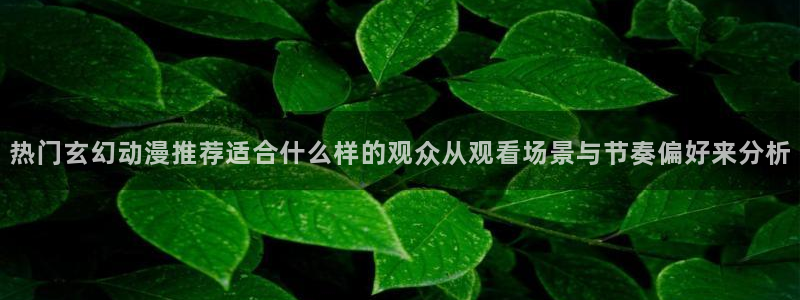 omofun追番推荐:热门玄幻动漫推荐适合什么样的观众从观看场景与节奏偏好来分析配图